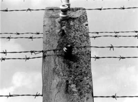 AUSCHWITZ AUSCHWITZ