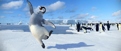 HAPPY FEET