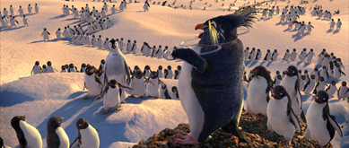 HAPPY FEET